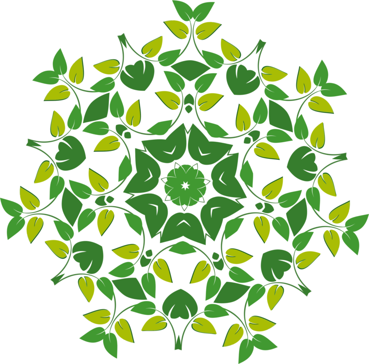 Leaf Floral Design Flower Shape Point - Clip Art (761x750)