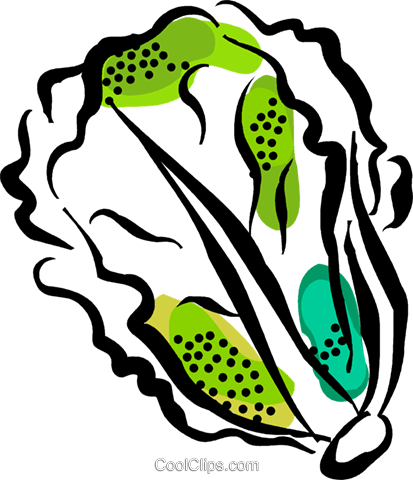 Lettuce Royalty Free Vector Clip Art Illustration - Easy Drawing Lettuce (413x480)