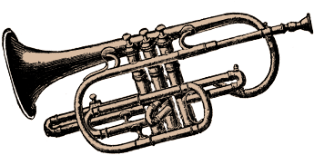600 X 764 3 - Trumpet (600x764)