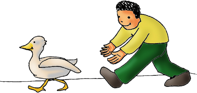 If Your Child Misses A Day, They Can Come On Another - Duck (800x428)