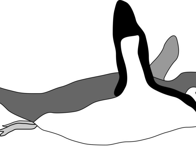 Emperor Penguin Clipart Swimming - Dibujar Un Pingüino Nadando (640x480)