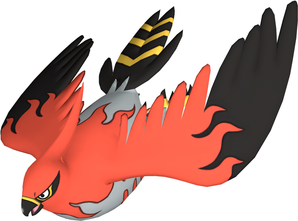 Peregrine Falcon, Peregrine - Illustration (1042x766)