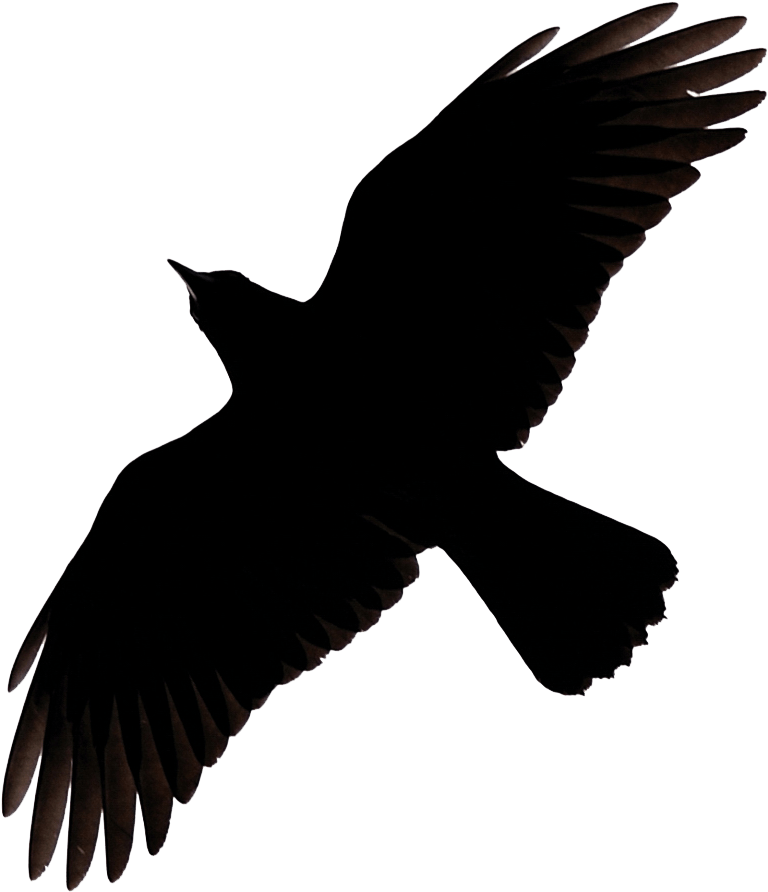 Flying Crow Raven Clip Art - Raven Flying Silhouette (1000x1000)