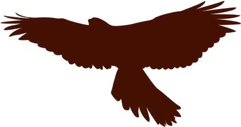 512 X 512 19 - Falcon Png (512x512)