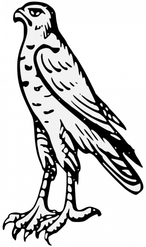 Peregrine Falcon Coloring Heraldic - Hawk (300x506)