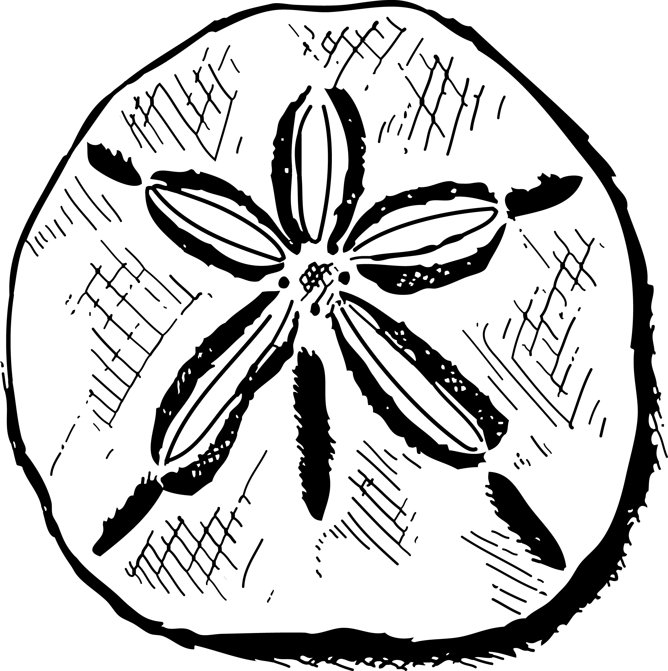 Contact Us - Ashoka Chakra (2335x2347)