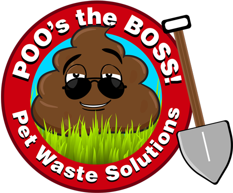 Order Service Today - Order Service Today (500x393)