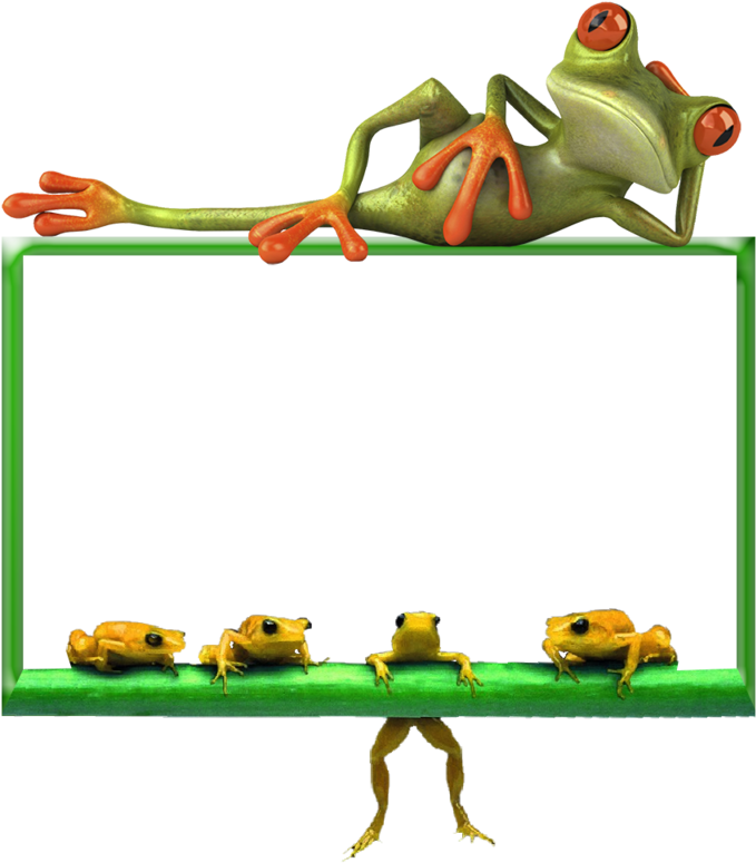Cadre Grenouille - Funny New Year Quotes 2019 (800x800)