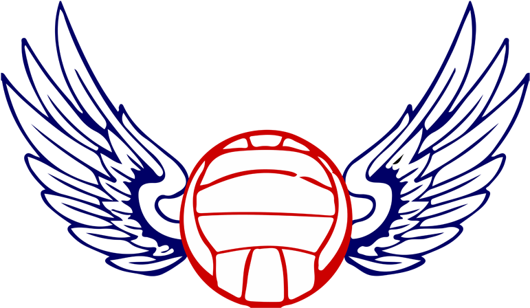Volleyball Wings Falcon Logo, Volleyball, Wings, Ali - Volleyball Logo With Wings Png (800x469)