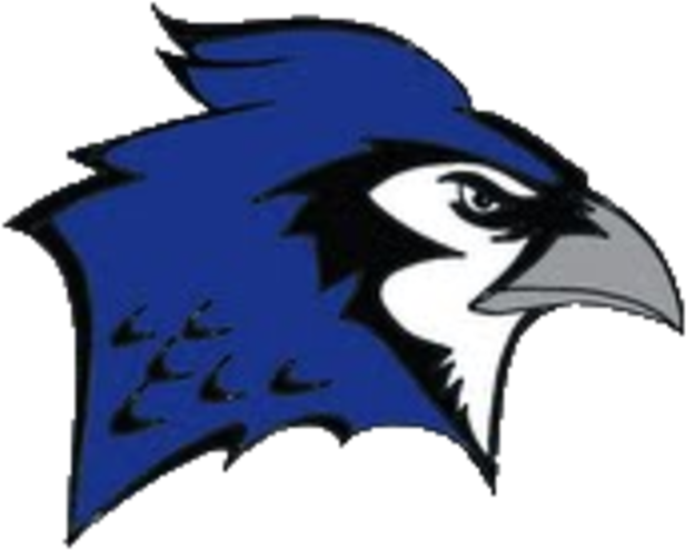Prairie Falcon Clipart Baseball - Sabetha Blue Jays Logo (720x598)