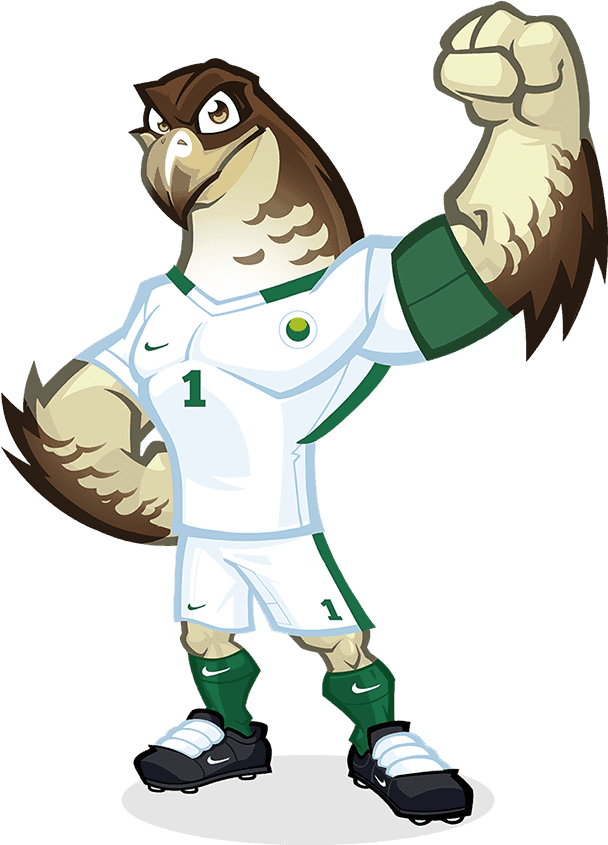 This Guy Is The Mascot Of The Saudi Arabian Football - Saudi Arabian Football Mascot (616x1000)