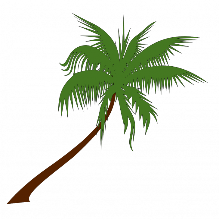 Medium Size Of Christmas Tree - Palm Tree Vector Png (728x730)