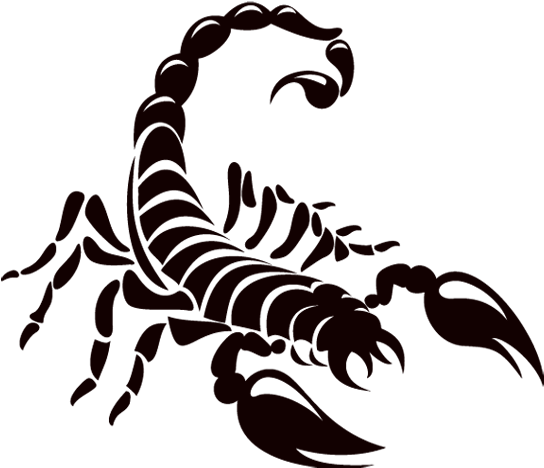 Logo Scorpions Scorpion Drawing Download Hq Png Clipart - Scorpion Sticker (600x600)
