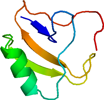 Scorpion Venom Molecular Structure (640x480)