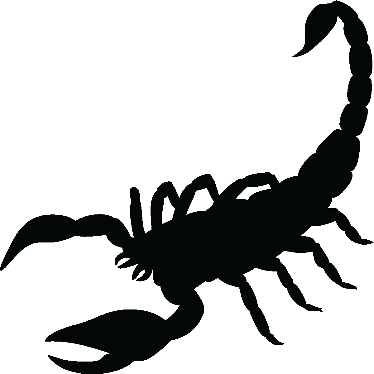 Scorpion Clipart Black And White - Scorpion Silhouette (1200x1200)