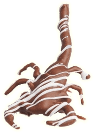 Chocolate Covered Scorpion - Chocolate Covered Scorpion (500x500)