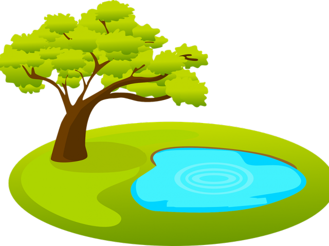 Lake Clipart Fishpond - Tree And Pond Clipart (640x480)