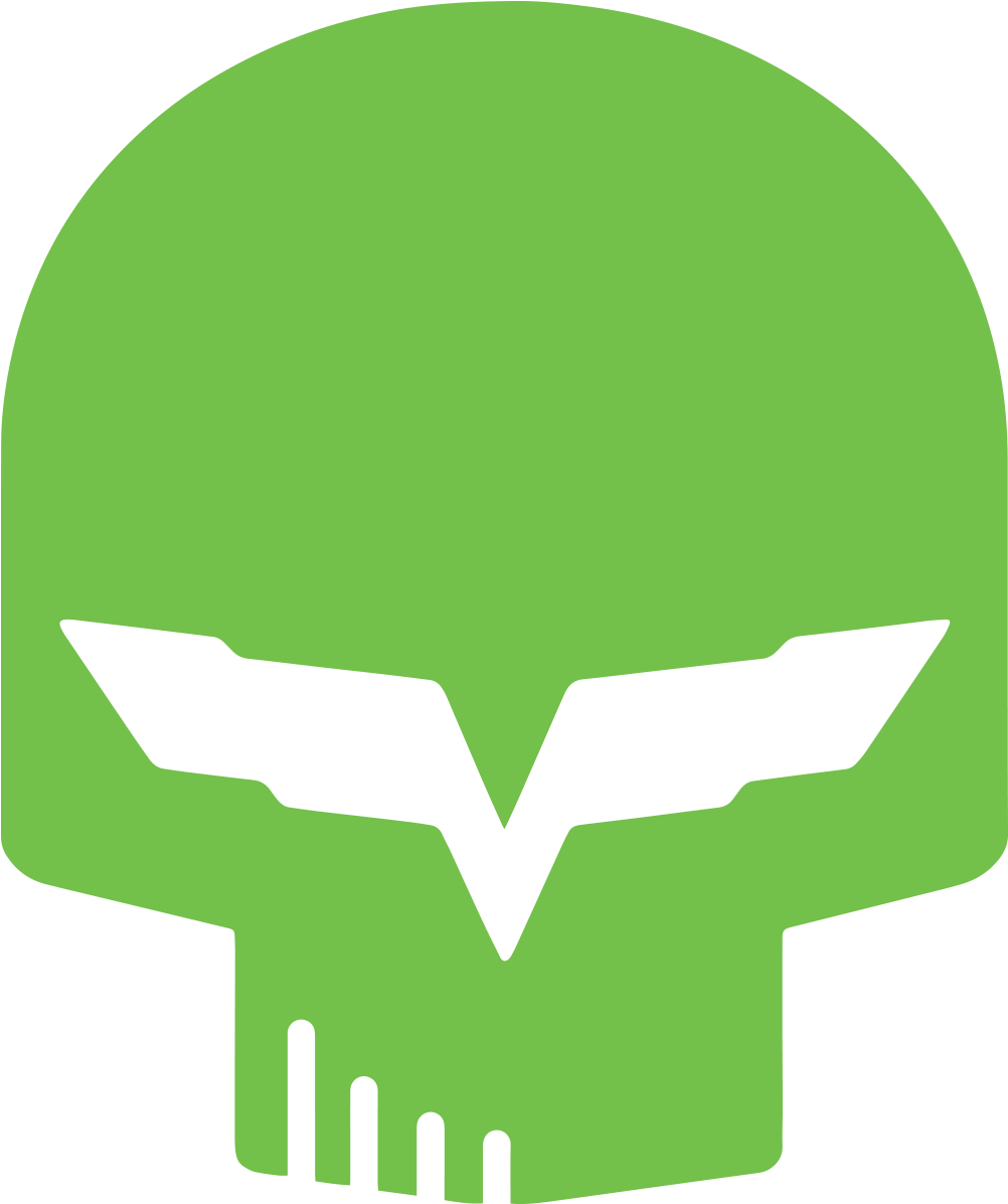 1500 X 1196 7 - Corvette Skull (1500x1196)