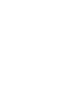 Public Safety - Emblem (594x594)