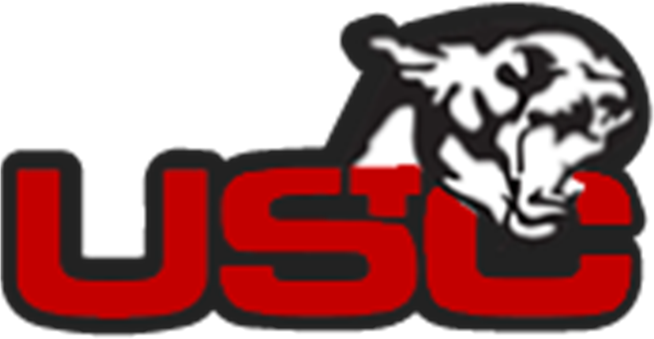 Upper St Clair Panthers (1280x1280)