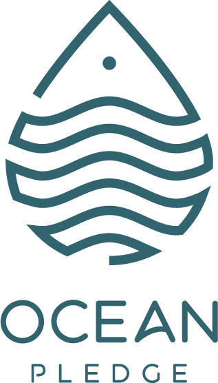 Making A Difference In Fighting Plastic Pollution - Making A Difference In Fighting Plastic Pollution (317x556)