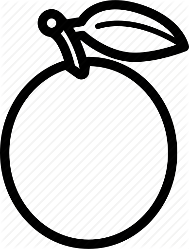 Food Fruits Icon - Circle (389x512)