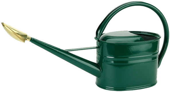 Green Gardening Image Background - Watering Can Transparent Background (624x481)