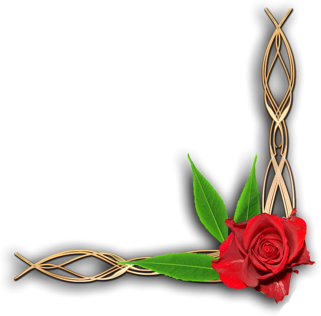 Floral Corner Border Png - Flower Corner Border Png (1024x1010)