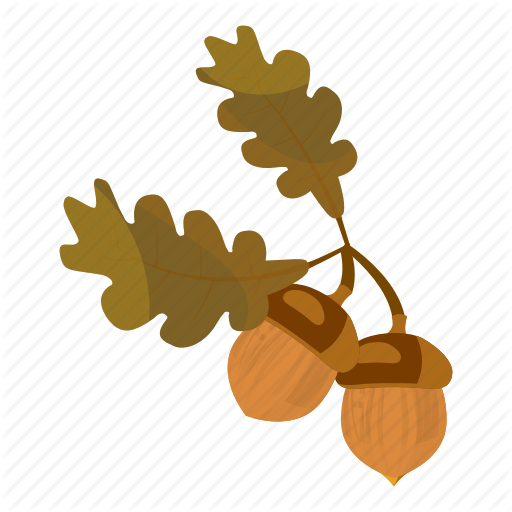 512 X 512 4 - Acorn Cartoon (512x512)