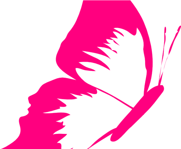 Bow Clipart Fuschia - Clip Art Transparent Butterflies (640x480)