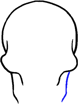 Skull Line - Sketch (678x600)