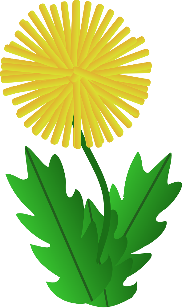 Onlinelabels Clip Art - Dandelion Clip Art (591x1000)