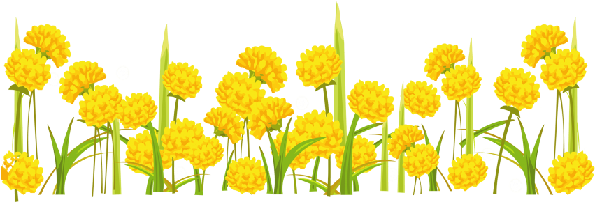 Free Png Download Dandelion Clipart Png Photo Png Images - Dandelion Png (850x310)