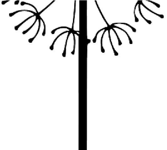 Dandelion Clipart Seed Dispersal - Silhouette Löwenzahn (640x480)