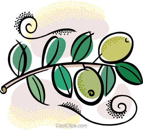 Olive Branch With Olives Royalty Free Vector Clip Art - قطف الزيتون للاطفال (480x436)