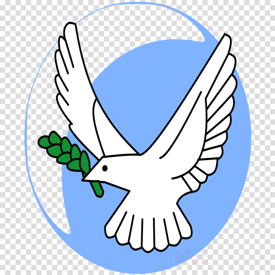 Olive Branch Clipart Olive Branch Petition Clip Art - Telephone Icon Orange Color (900x900)