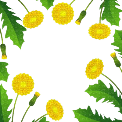 Cadre Pissenlit Dandelion Frame Leaves - Dandelion Benefits (400x400)