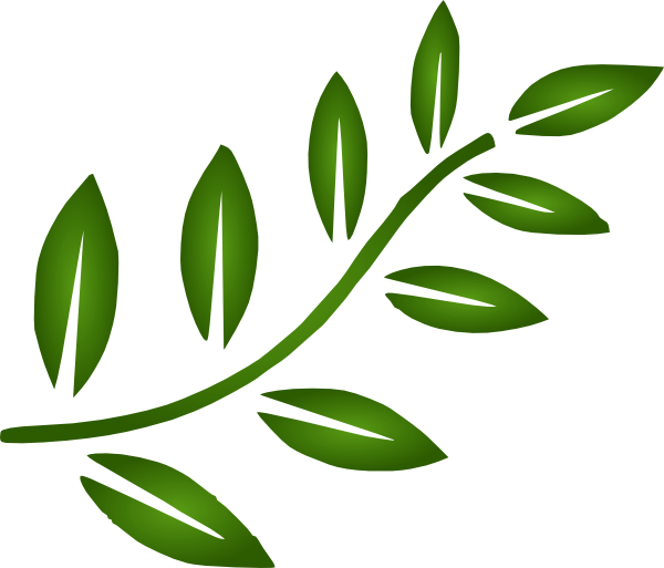 This Free Clip Arts Design Of Branch Png - This Free Clip Arts Design Of Branch Png (600x513)