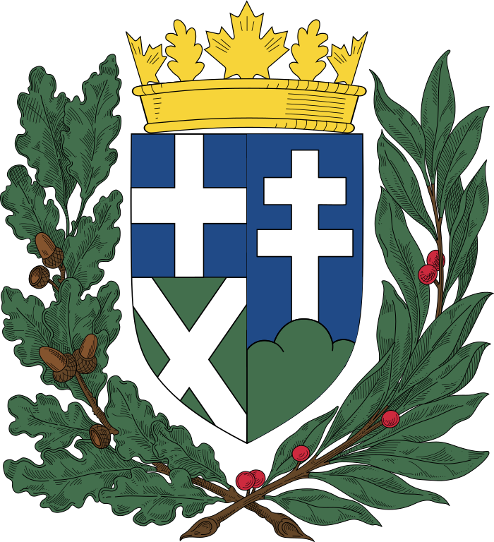 Coat Of Arms Of El Churi Version4 Cross Update - Oak And Olive Branch (700x768)