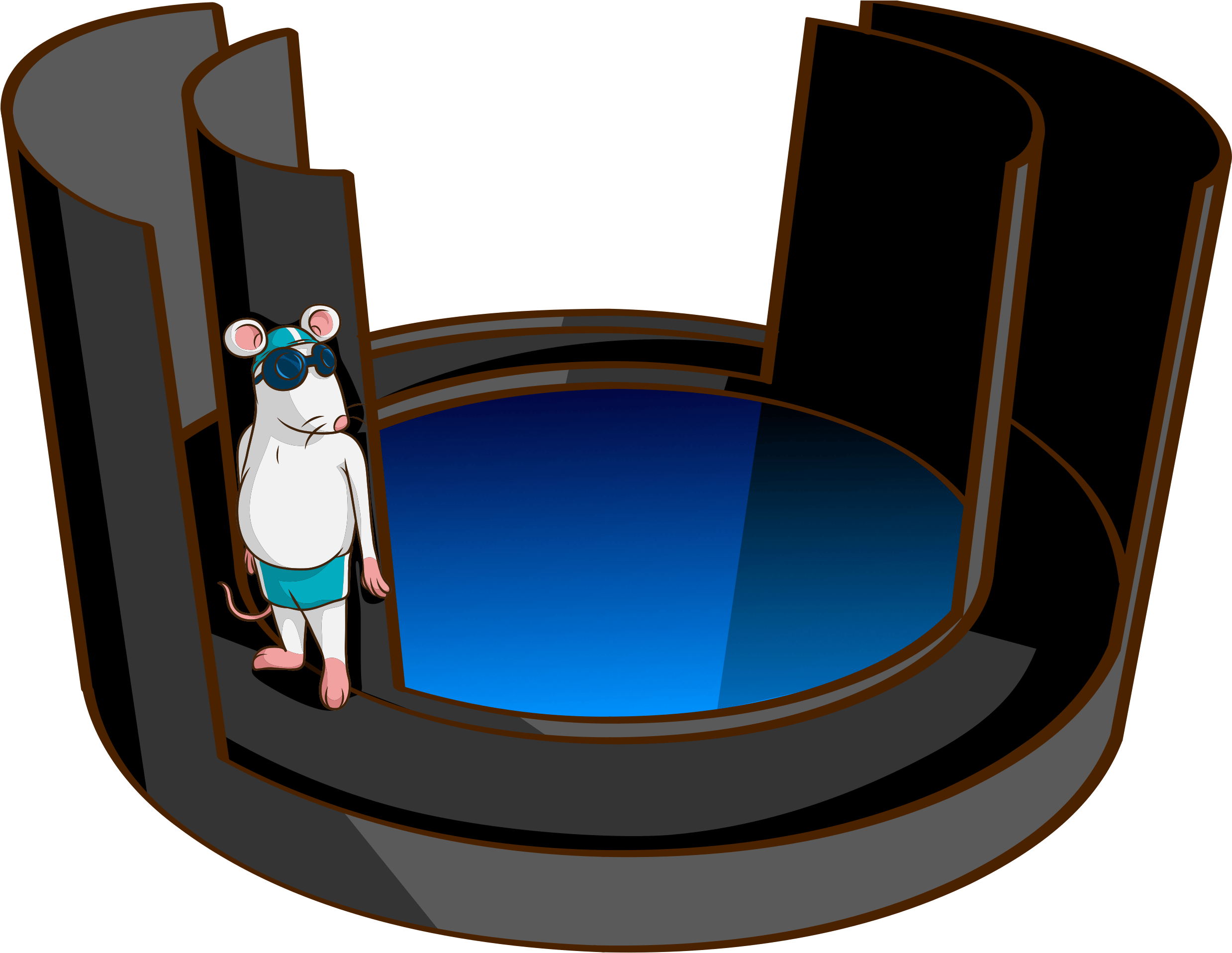 Water Associated Zero Maze - Rat Morris Water Maze (2506x1939)