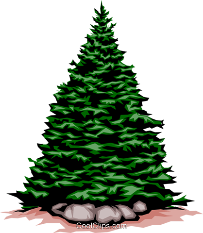 Evergreen Tree Royalty Free Vector Clip Art Illustration - Christmas Tree Clip Art (418x480)