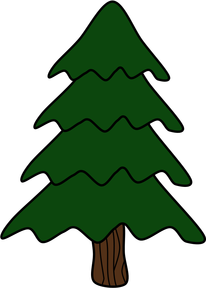 Tree, Evergreen - Tree (816x1056)