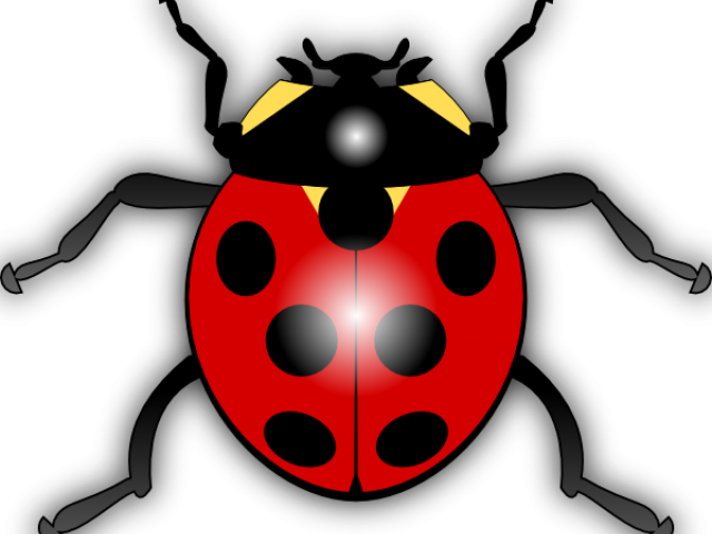 Beetles Clipart Clip Art - Ladybird Clipart (640x480)