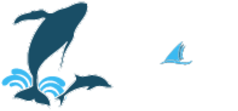Captain Dave's Dolphin And Whale Safari Logo - Captain Dave's Dolphin And Whale Safari Logo (800x400)