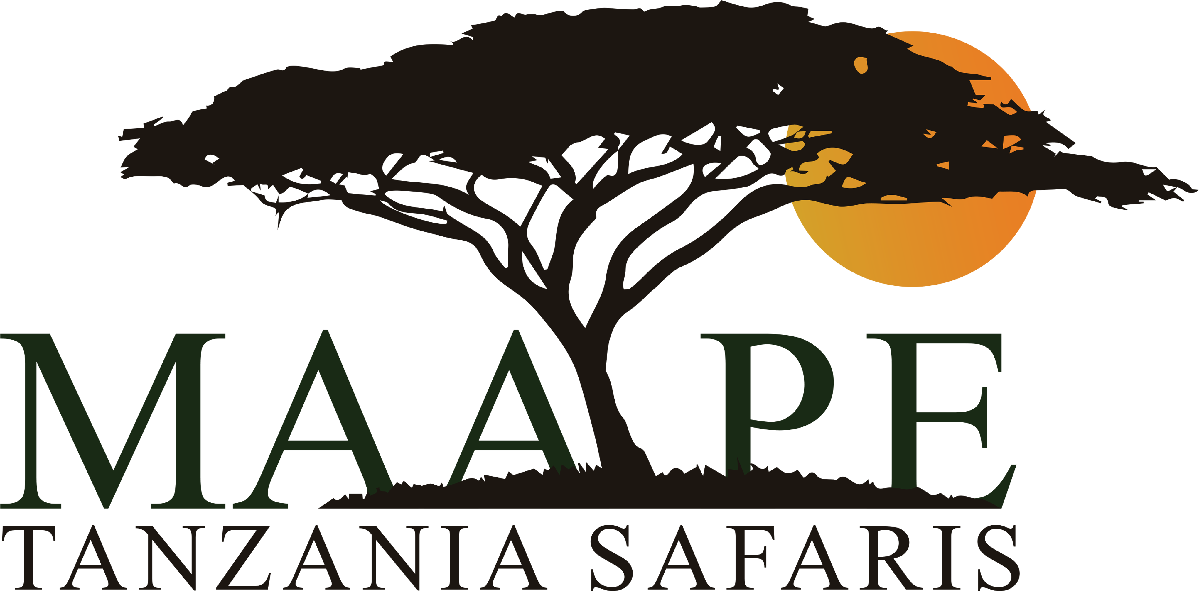 Viking Persib Club (4649x2396)