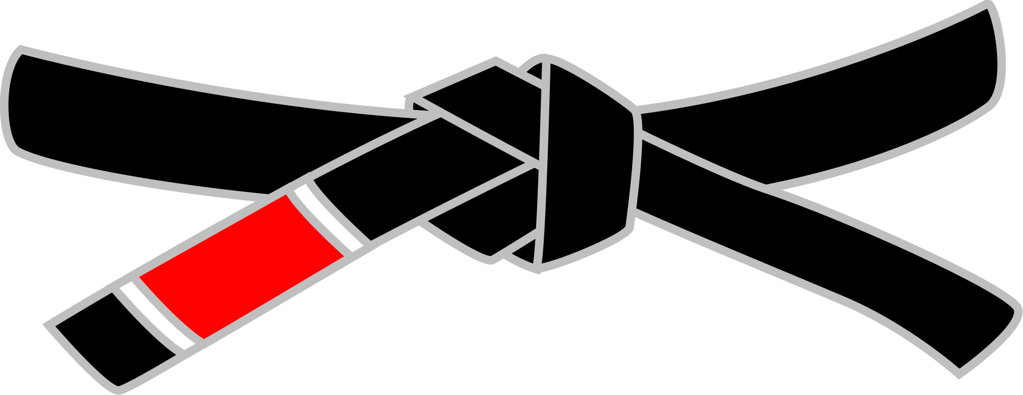 Jiu Jitsu Black Belt Png (2000x772) Png Clipart Download