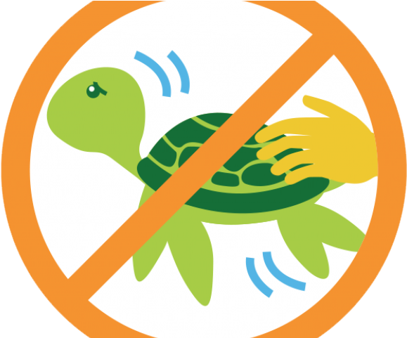 Scuba Diver Clipart Wildlife Biologist - Emblem (640x480)
