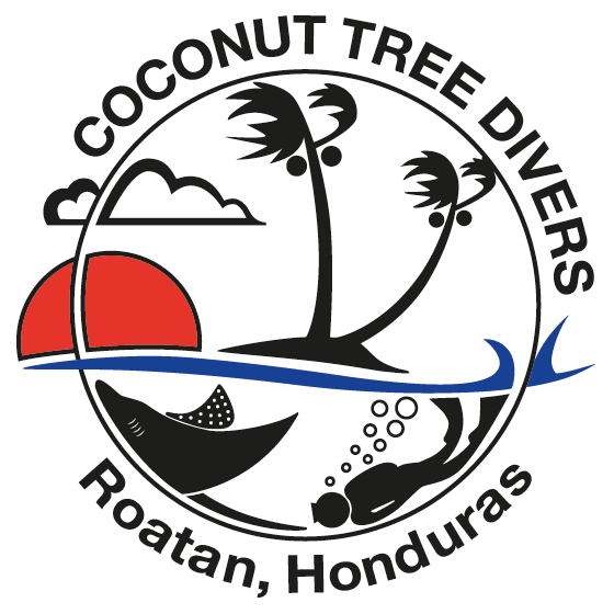 Roatan's Premier Padi Dive Center - Coconut Tree Divers (560x560)