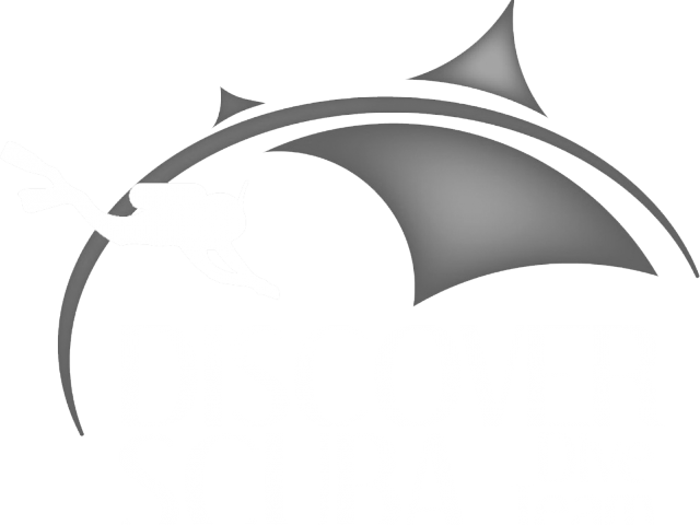 Scuba Diver Clipart Marine Biologist - Crescent (640x480)