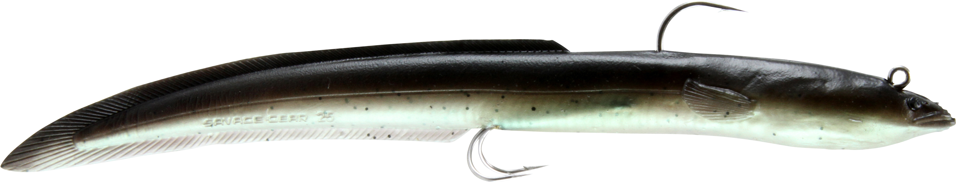 Eels Clipart Flotsam - Anago (3600x1908)